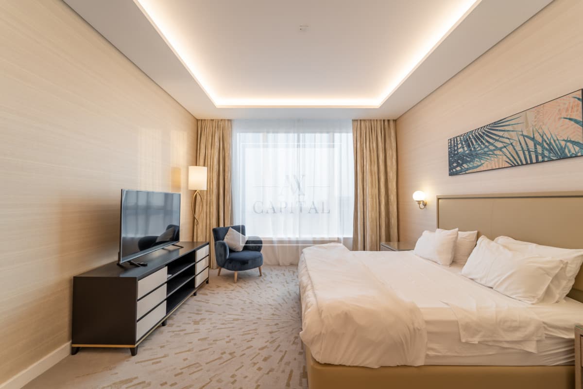 Exclusive | Tenanted | Ain Dubai View - 1