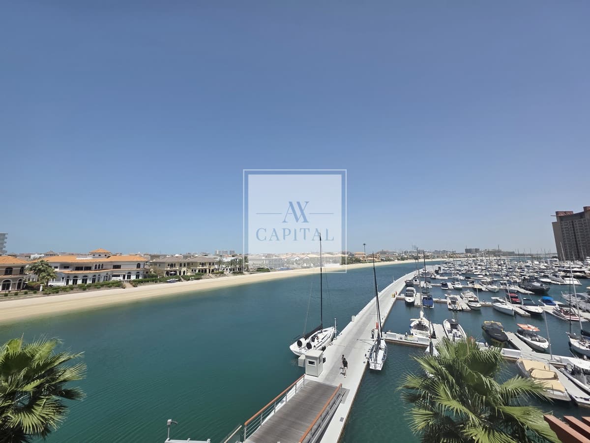 Palm Views |  Furnished | Spacious Studio - 1
