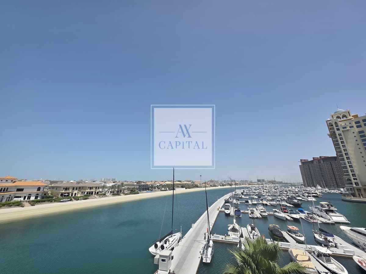 Palm Views |  Furnished | Spacious Studio - 3