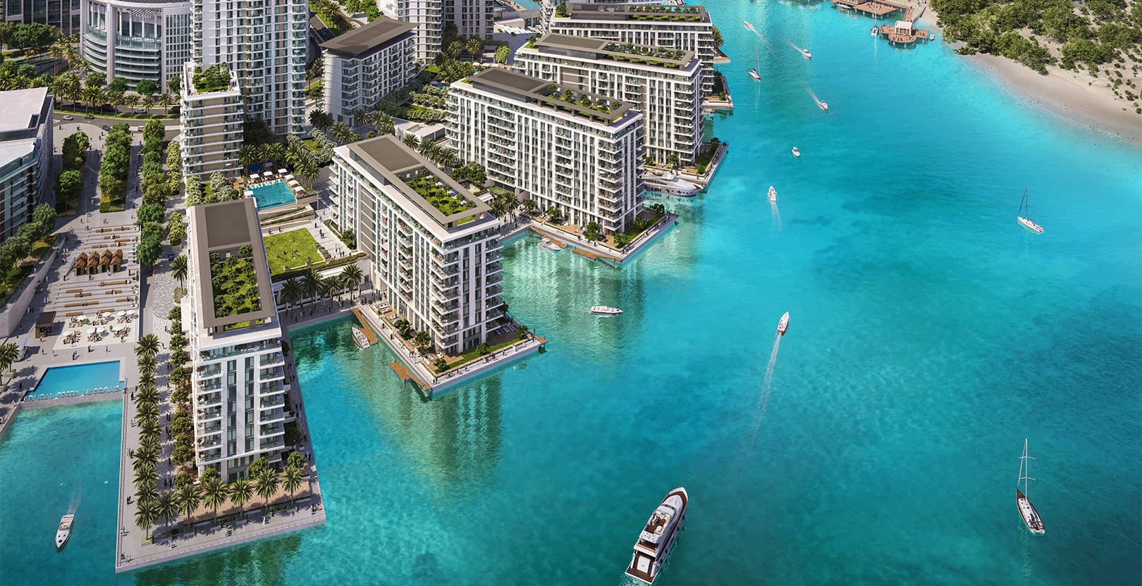 The Cove - 3