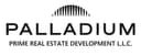 Palladium Development
