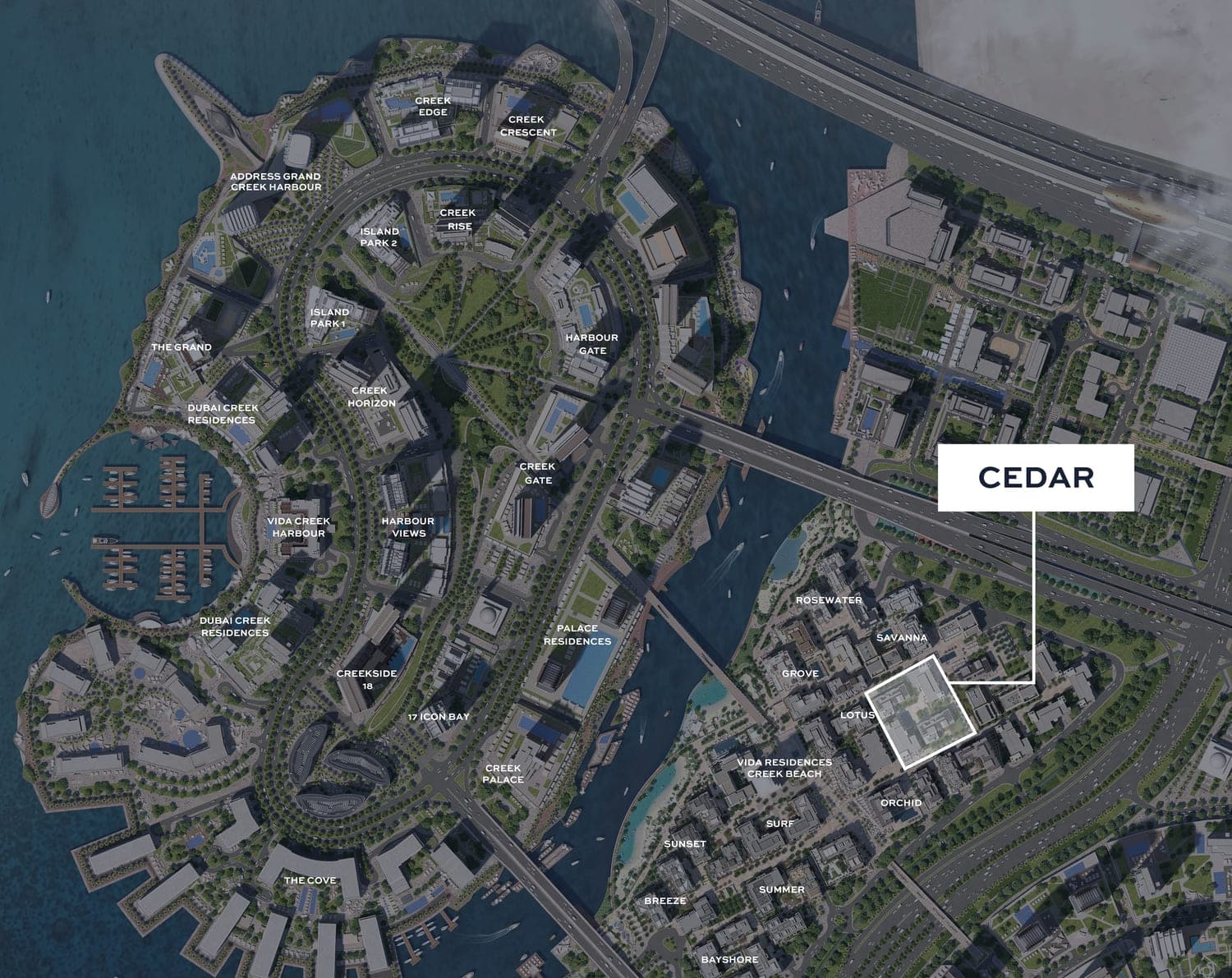 Cedar - 2