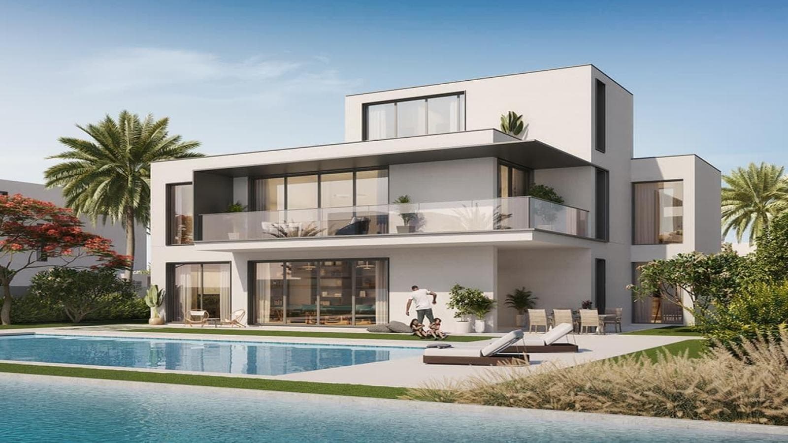 Palmiera 3