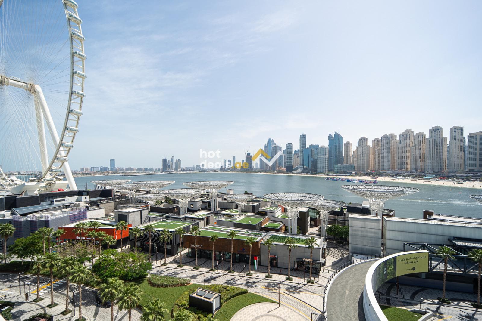 Upgraded | Great Layout | Ain Dubai View