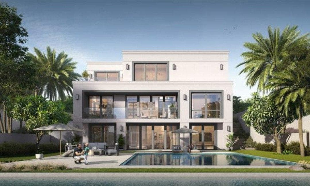 Palmiera 3