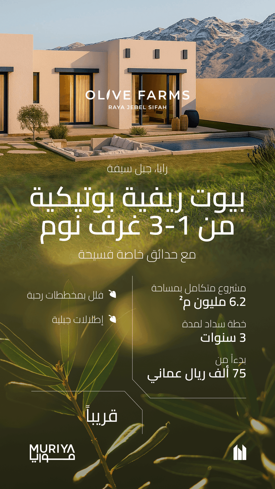 Olive Farms Jebel Sifah